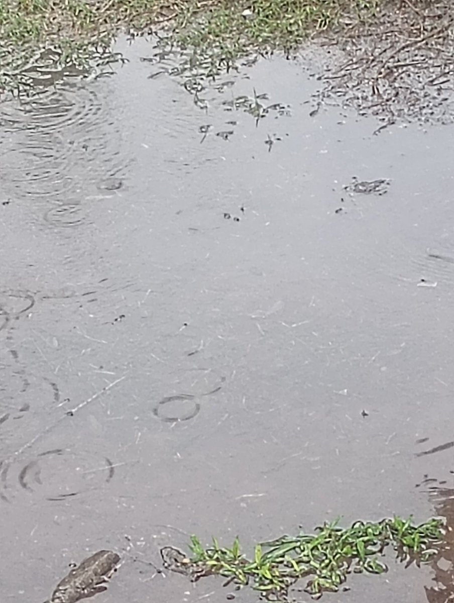 Claro ejemplo de deforestación, que cualquiera lo puede ver de  cerca en su casa, en otras dimensiones...los resultados están a la vista. Sigan deforestando🤘🏾