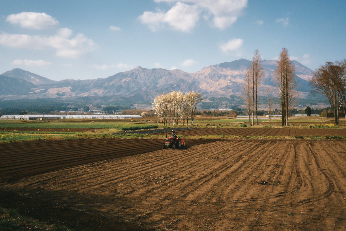 真道 健志 / Shindo Takeshi tweet media