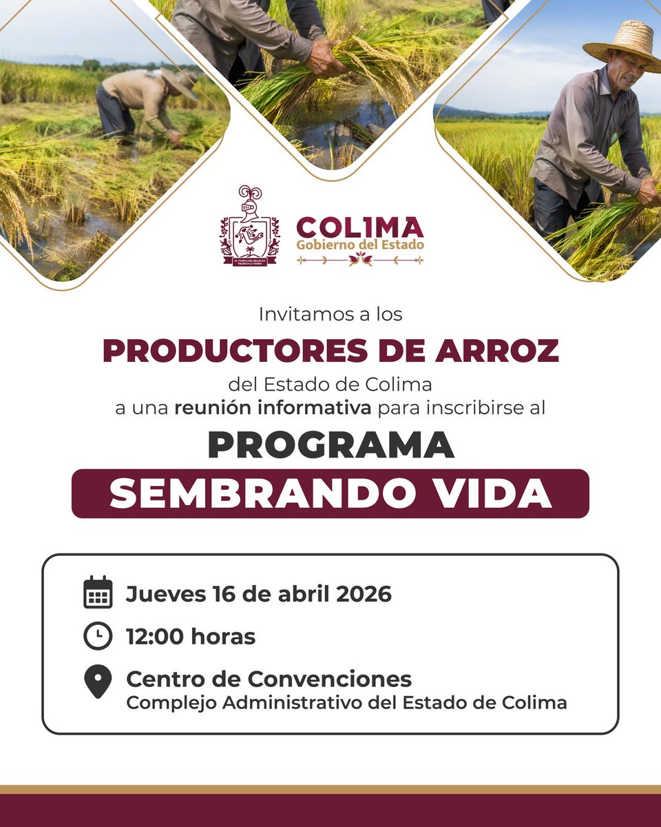 Gobierno Colima tweet media