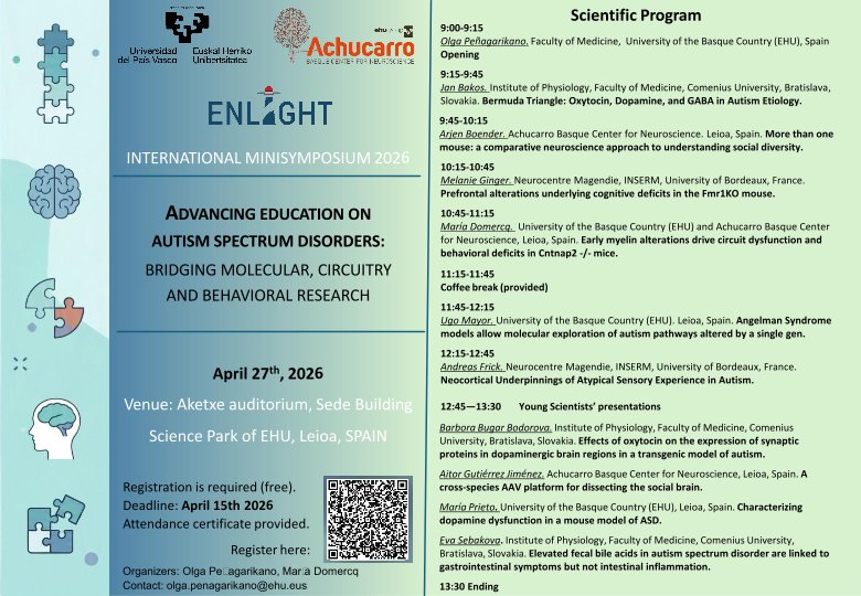 LabDomercq's tweet image. Minisimposium on #ASD: genetics, molecular mechanisms, circuits and behaviour. Organized by @UPV/EHU and @AchucarroGlia. Join us!!! Speakers and details below.