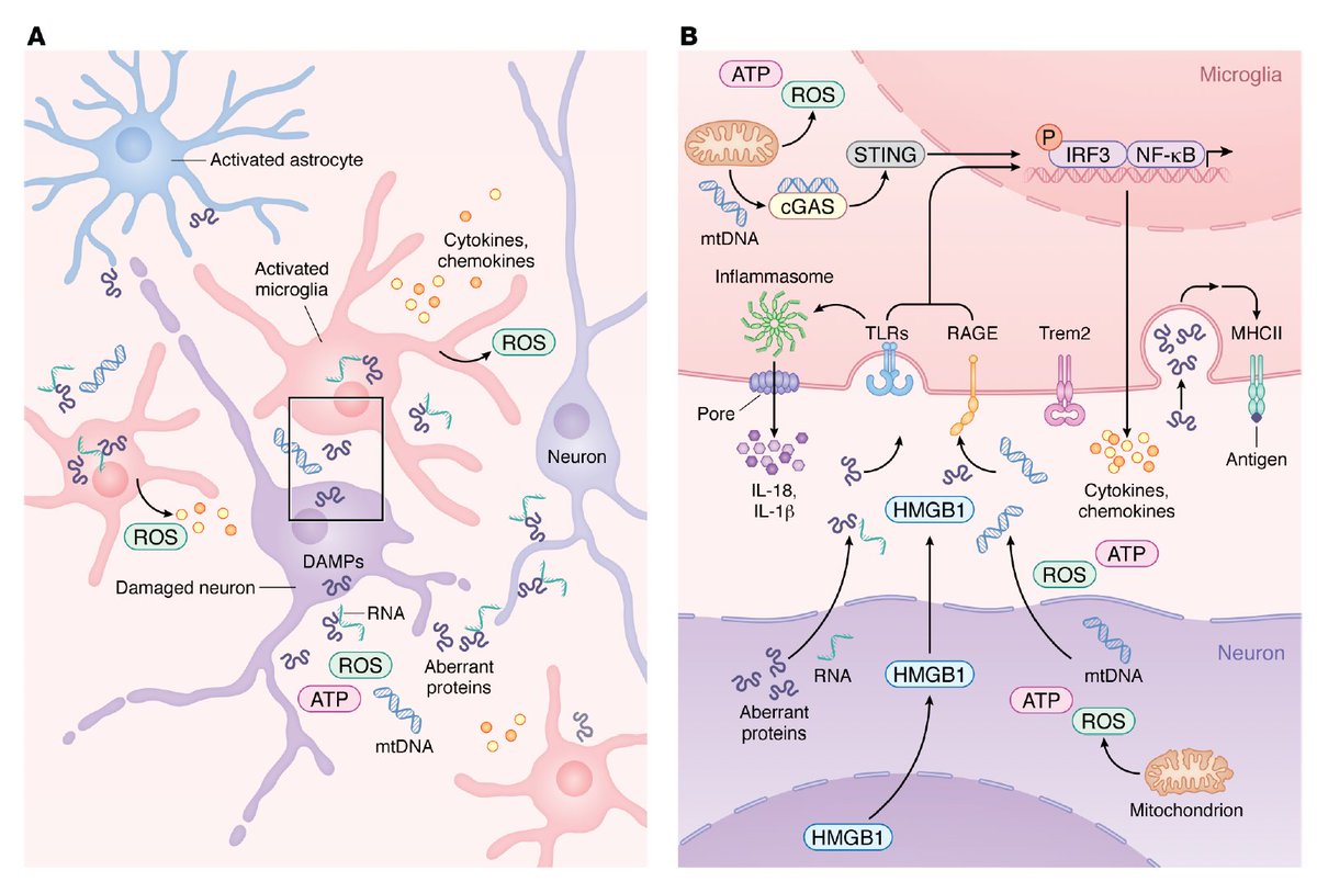 Eric Topol tweet media