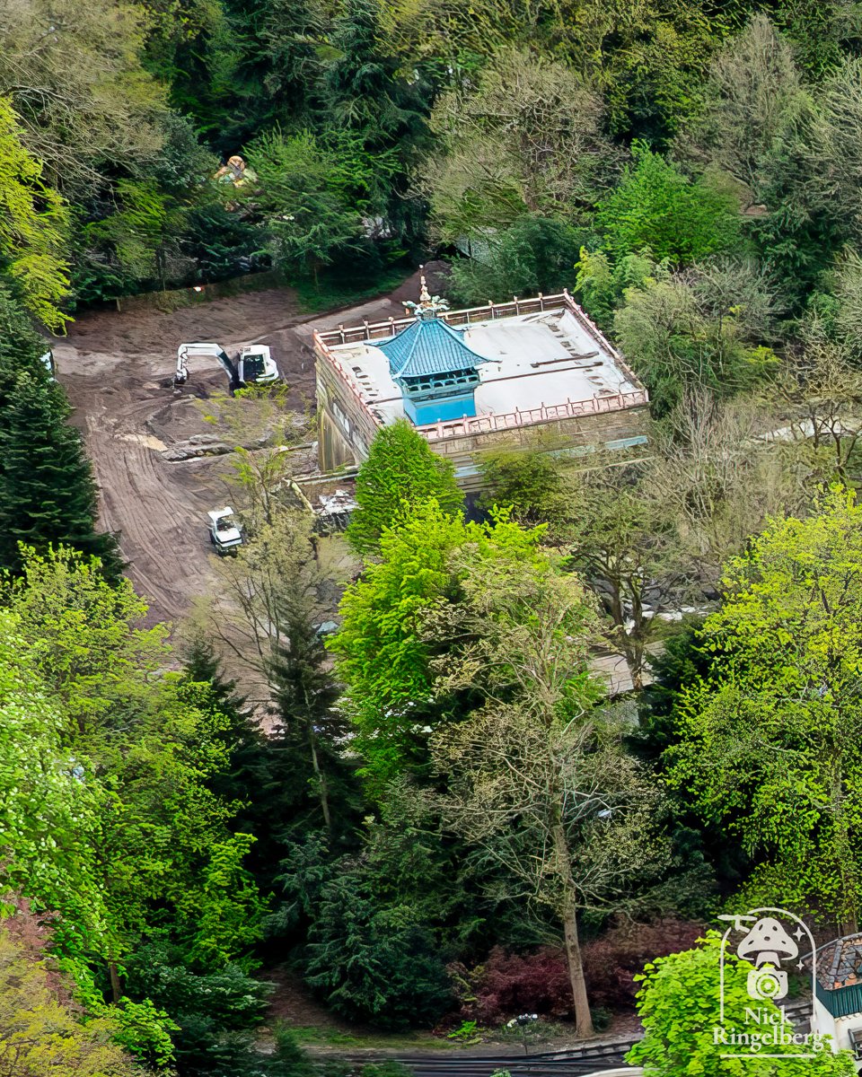 RingelbergNick's tweet photo. Er ontstaat een leeg gat in het Sprookjesbos.
Ik vind het zo jammer dat het mooie wandelpad naar Repelsteeltje verdwenen is π±
#efteling #themeparks #sprookjesbos #bouwupdate
π Efteling https://t.co/tjmztL3rPj