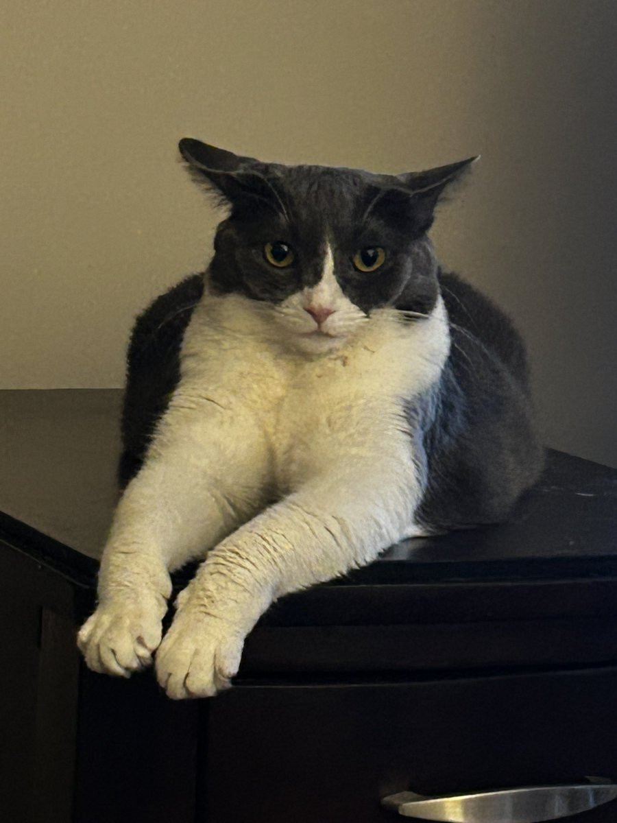 Hadfield, Wu-Tang & Pico (KC🌈)❤️Scruffa tweet media