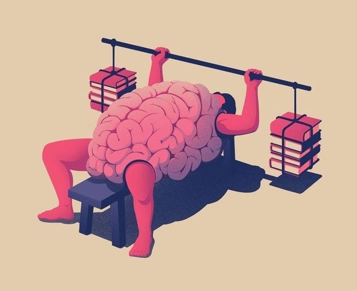 MirandaSolo7's tweet image. Moja siłownia 💪📚 innej nie uznaję 😊🙃

#book #mind #biblioteka #książki #kultura #siłownia