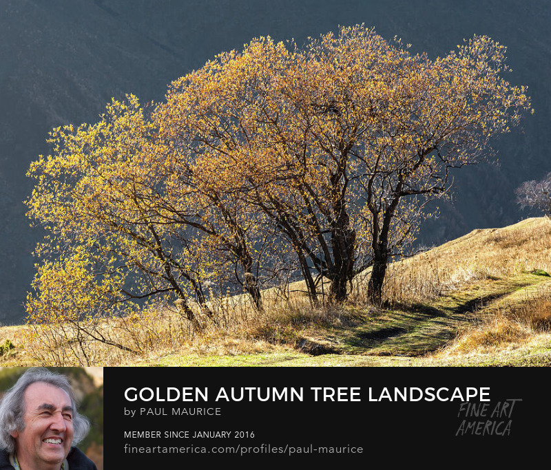 apollo0300's tweet image. Golden Autumn Tree Landscape

fineartamerica.com/featured/golde…

#alpesdusud #alps autumn #colorsoffall #frenchalps #HautesAlpes #hautesalpestourisme #Lovepaca #tree #paulcmaurice #artforsale #buyintoart #fineart #giftidea #giftideas #homedecor #wallart #FindYourThing