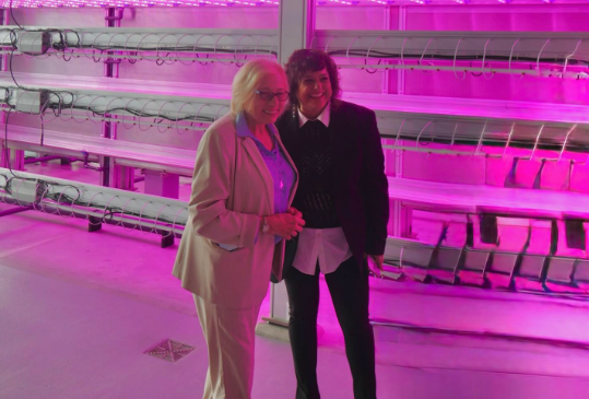 Steve Robinson tweet media