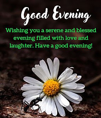 Wind_and_Rain tweet media