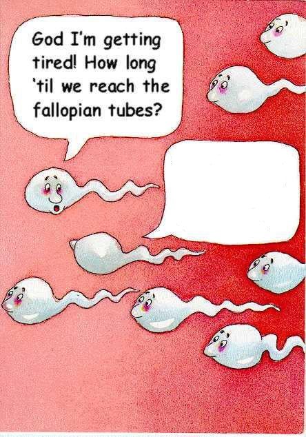 Polycircus Glazer tweet media