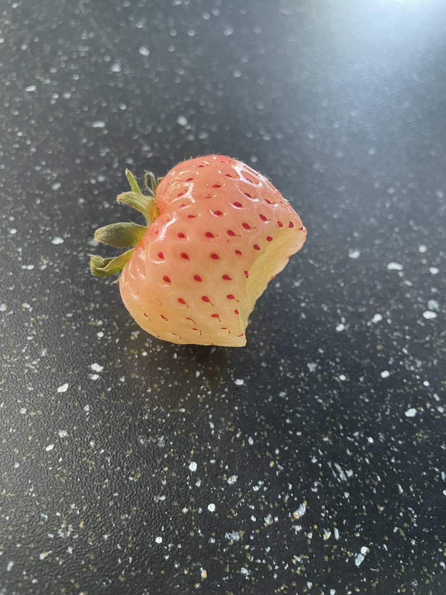 devereux1655's tweet image. I foolishly tried these again- I’ve learned my lesson 💁🏻‍♀️🤦🏻‍♀️ no flavour at all  #strawberries #fruit #lessons