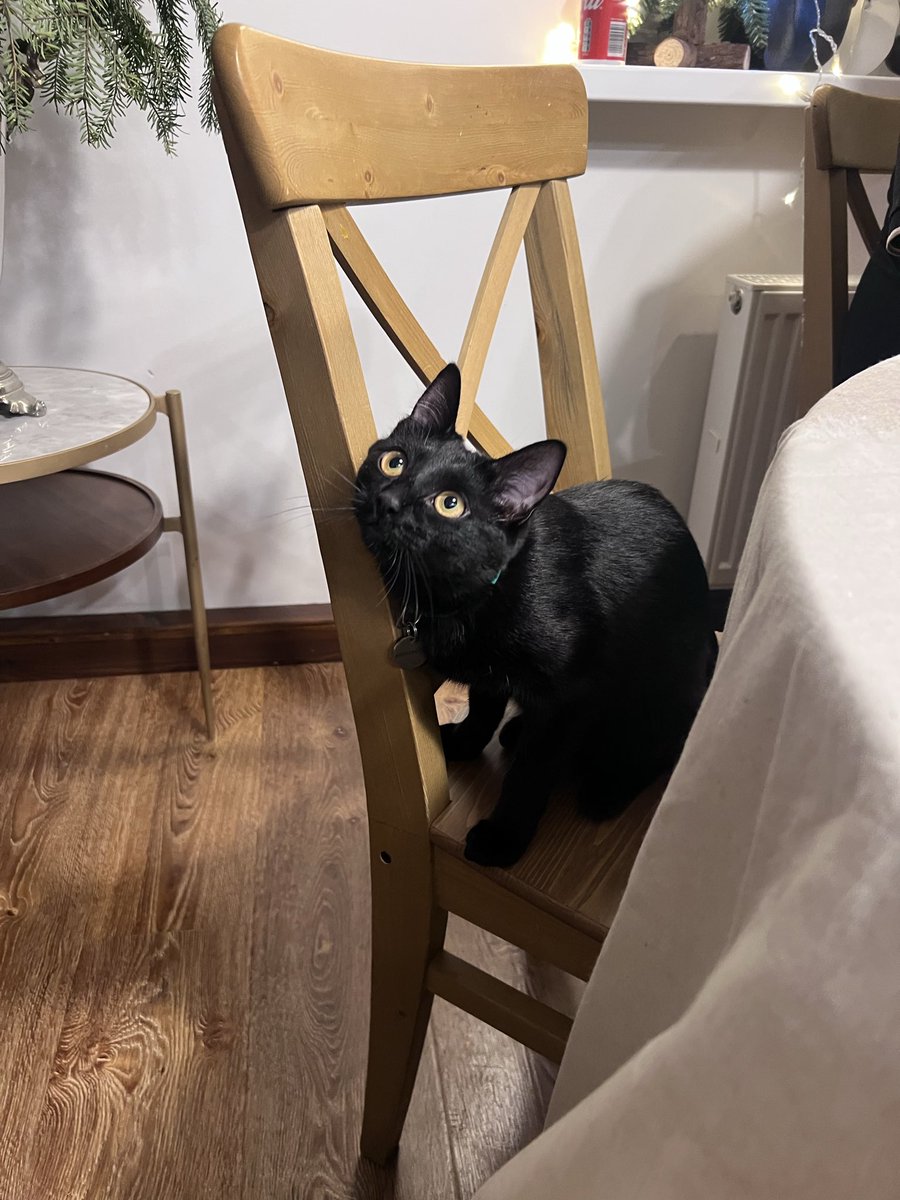 Илья Одинцов tweet media