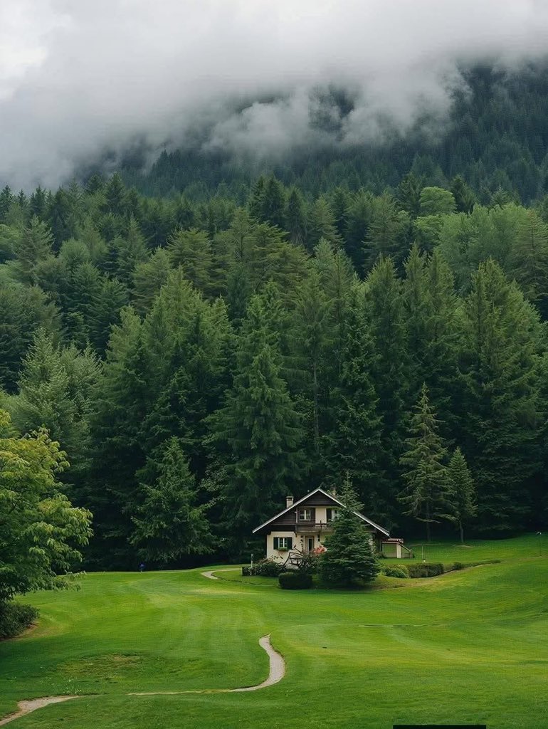 Purely Green tweet media