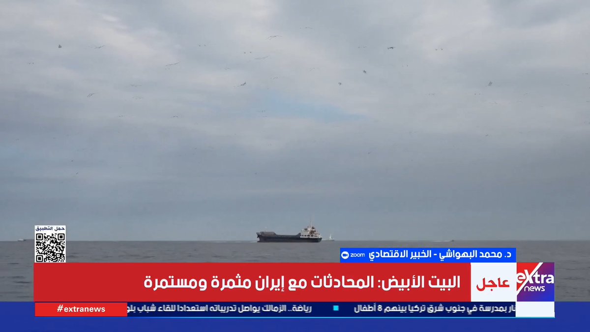 د. محمد البهواشي الخبير الاقتصادي: حصار مضيق هرمز يؤثر مباشرة على كل دول العالم.. والعبء الأكبر يقع على الدول النامية والناشئة المستوردة للنفط #آلاء_شتا 