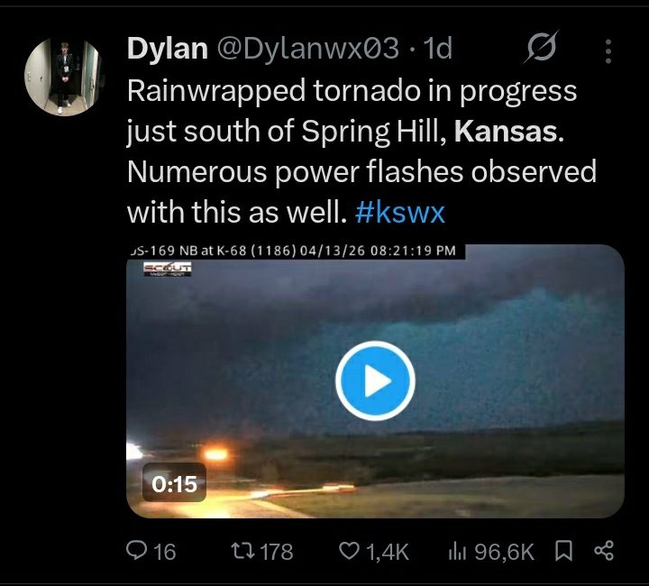 🐝 free to 🐝 free tweet media