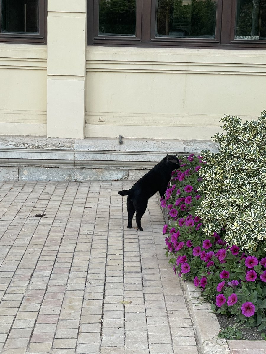 예슬이 tweet media