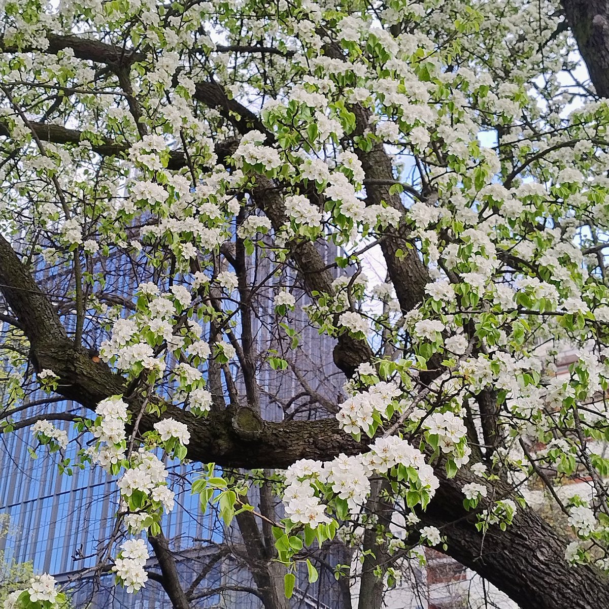 𝕗𝕚𝕓𝕦𝕝𝕒 tweet media