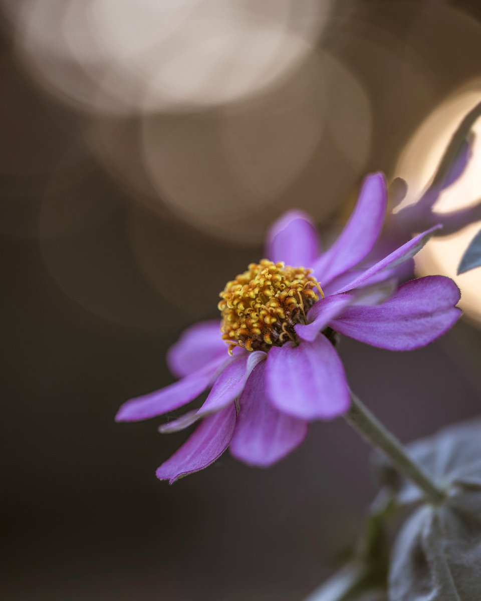 Tina Quillen Photography tweet media