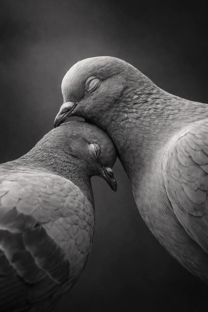 من حقائق الحياة:

الشخص الذي يحبك حقًا سيغضب منك أحيانًا، لكنه لن يتركك أبدًا ."