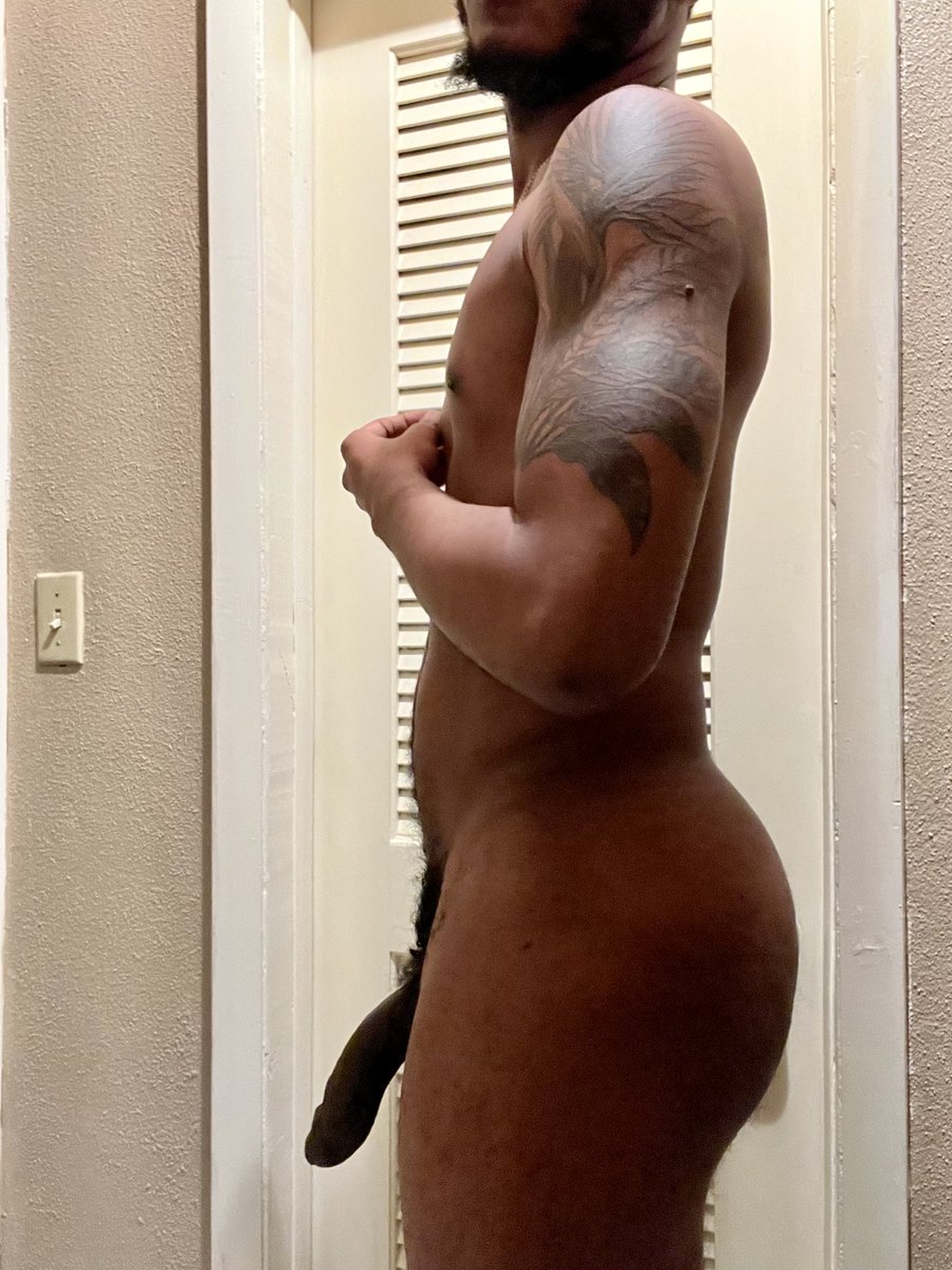 A Tall Tail tweet media