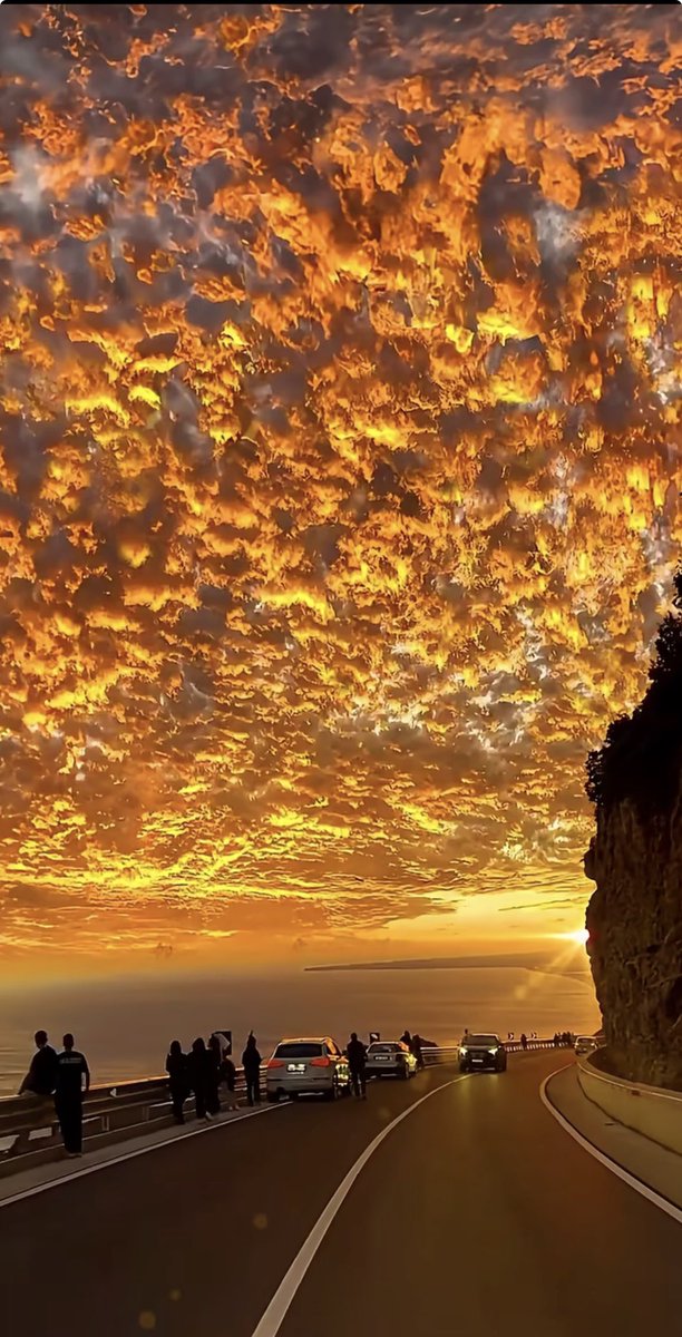 Mlunghisi Shivamba tweet media