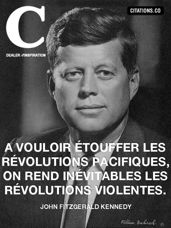 gipsy 🐢 tweet media