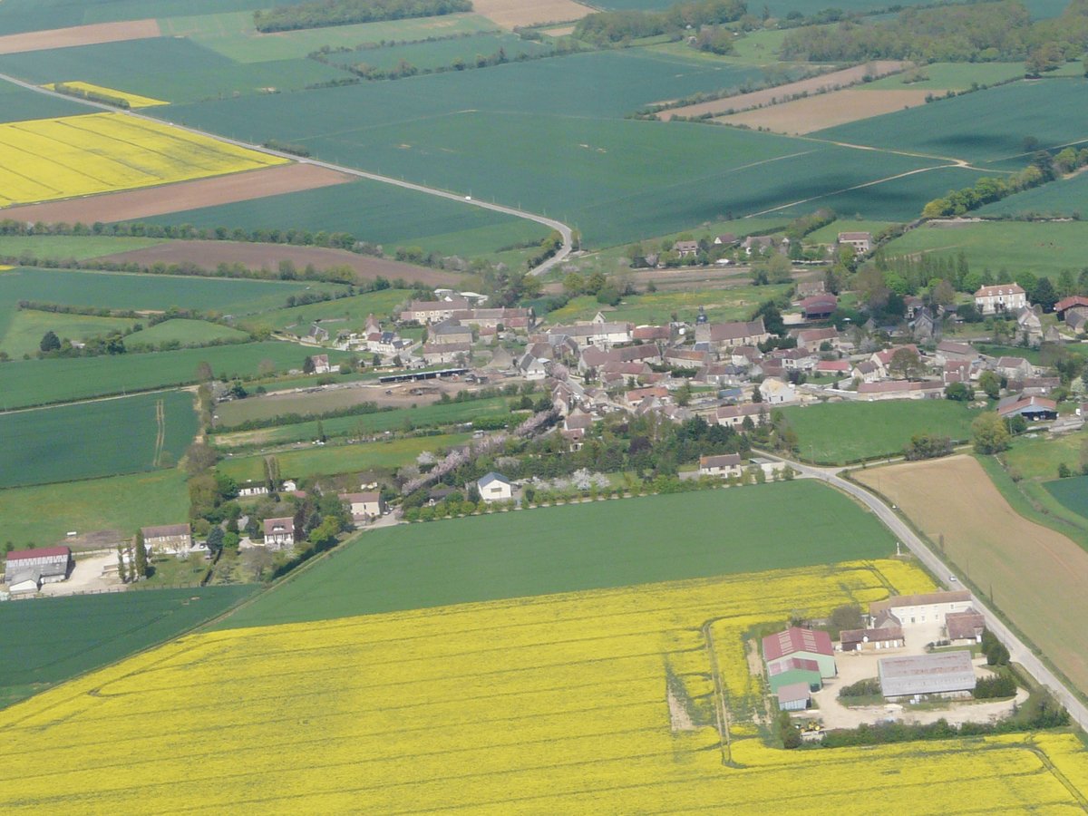 Fdesouche.com est une revue de presse tweet media