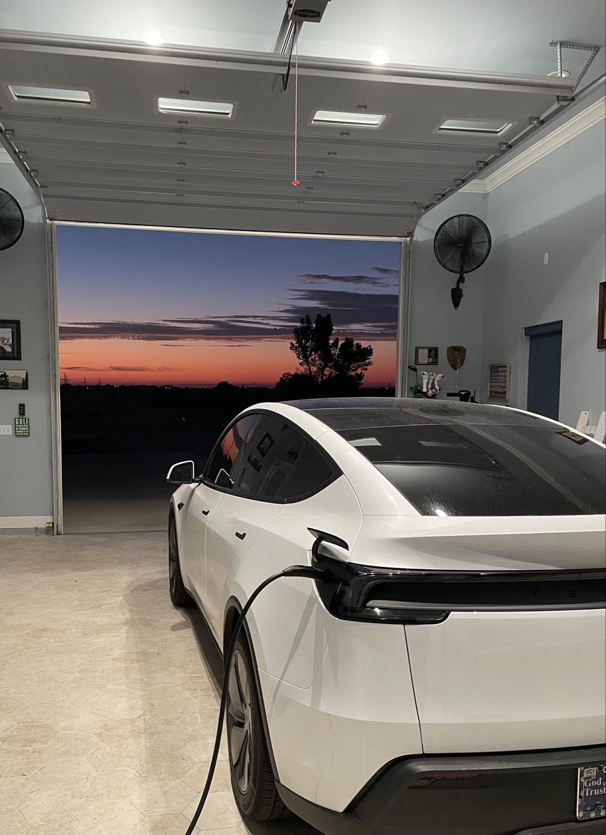 Merle Model Y tweet media