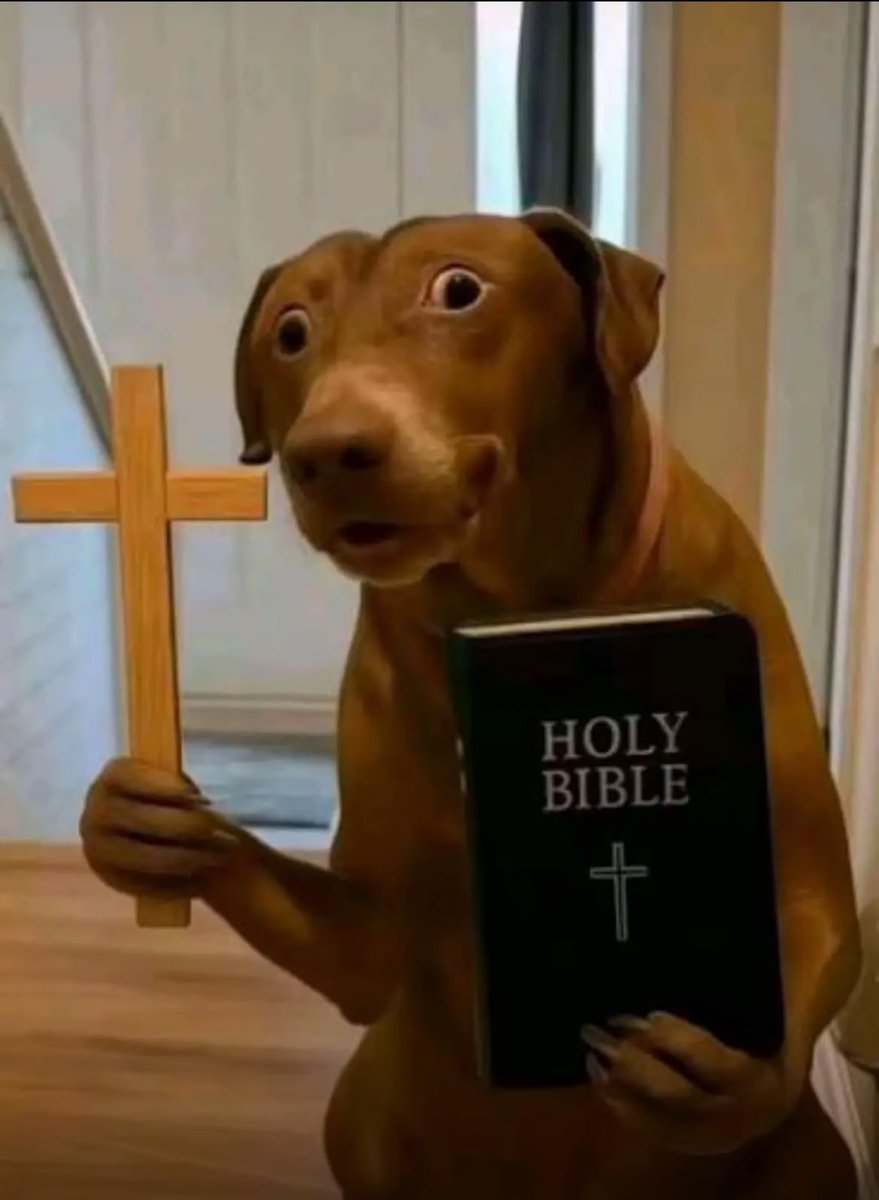 Caah 🤠⚡️ tweet media