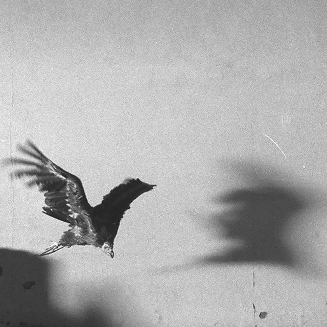 zaack | #BULLYSZN tweet media