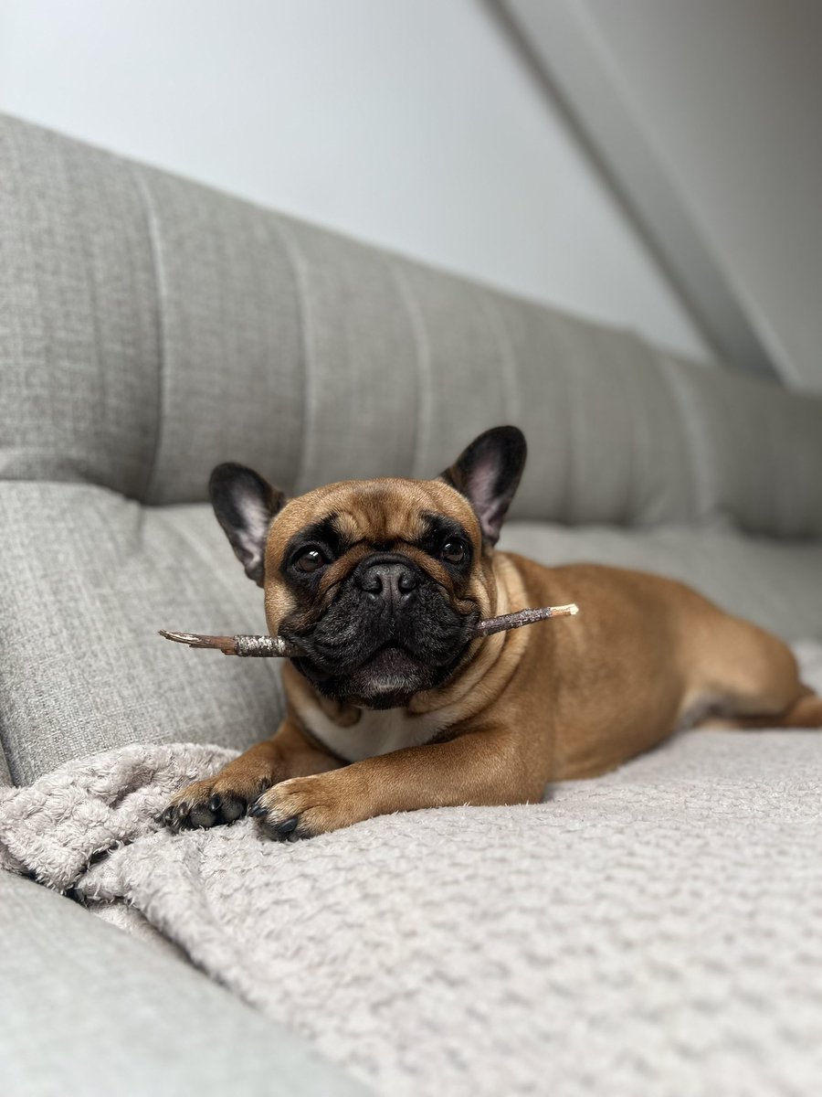 MillyMilka tweet media