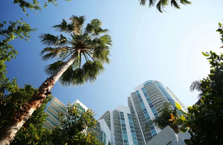 Florida’s Voice tweet media