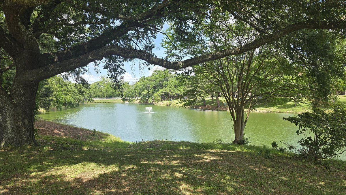 MerrickRobyn's tweet photo. Usually it's views from the window, but today it's views from the walk. Passing by Lake Kernan @SouthernU_BR from the south side. So picturesque and serene. #WeAreSouthern #nature #SU4Life 🩵💛 https://t.co/CbbLFTWm4N
