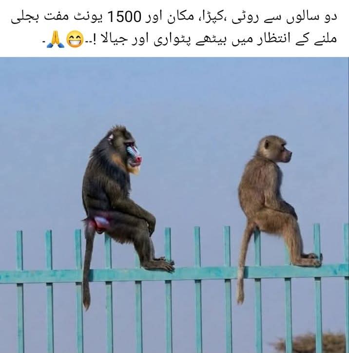 محمد عاطف خان (@atifkhan499) on Twitter photo 