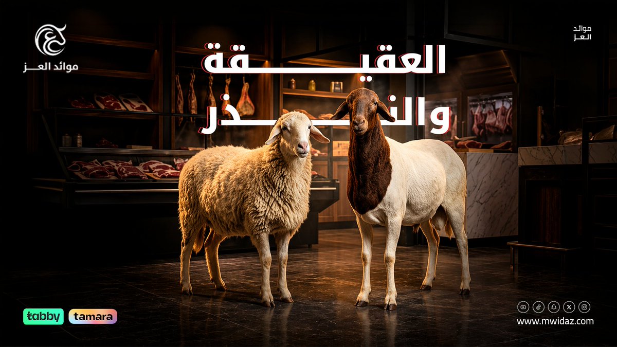 mwid_aez's tweet photo. نويت توفي بنذرك؟ حنا نساعدك تبيض وجهك بأجود الذبائح الطازجة. 
في #موائد_العز، نهتم بكل تفاصيل النذر من الاختيار للذبح للتقطيع، ونوصلها لك جاهزة ومرتبة مثل ما تحب.
ثقة، أمانة، وجودة نراهن عليها. ✅
احجز ذبيحتك الآن خلال متجرنا 
https://t.co/LIU7eM1nfy https://t.co/9aN0EHZTFF