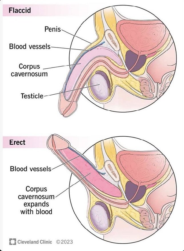 health_booster tweet media
