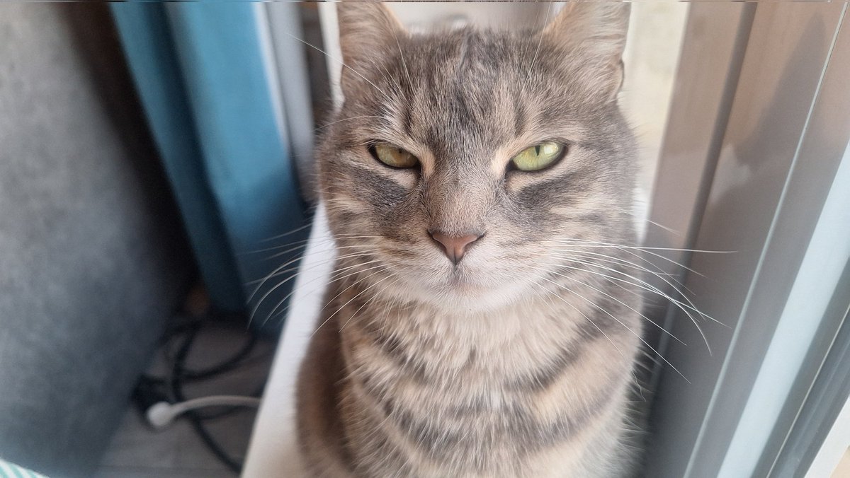 tama !!! tweet media