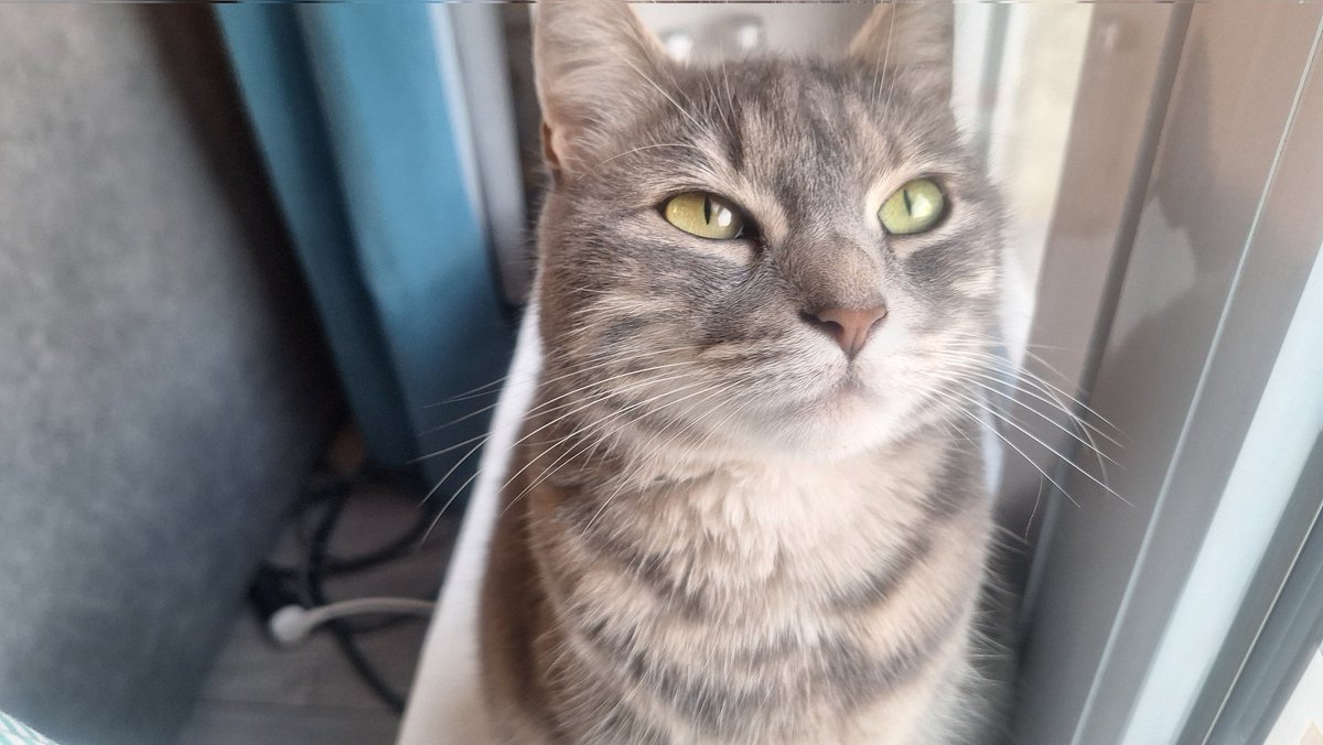 tama !!! tweet media