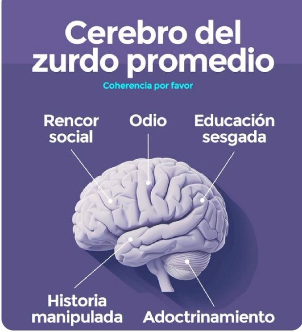 GOLPERTO EL GATERO tweet media