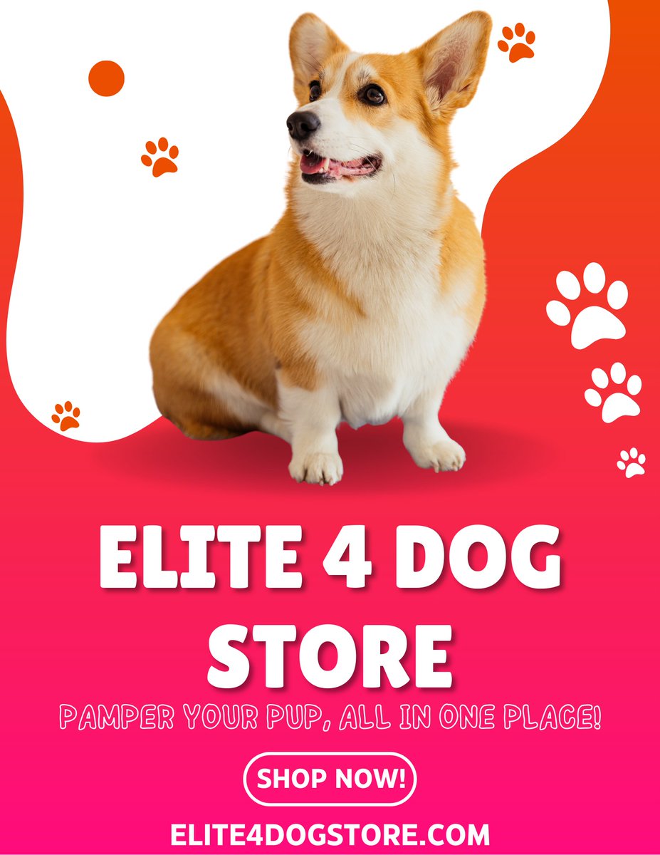 Elite4dogstore's tweet image. 🌊🐕  Cool &amp;amp; Comfortable

Keep your pup cool, comfortable, and happy this summer! 🐶💦
Find the best products made for warm weather fun.
👉 elite4dogstore.com

#CoolDogs #SummerPets #DogCare #PetSupplies #Elite4DogStore #ShopOnline #DogLife #PetLove