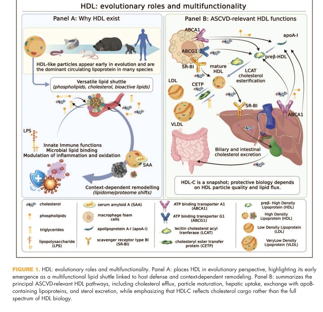 Marcos Gamboa tweet media