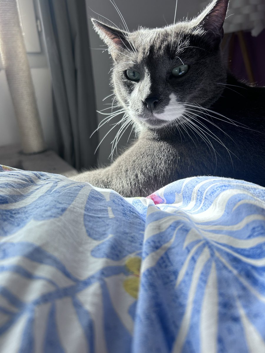 Fleur 🌸🌺 tweet media