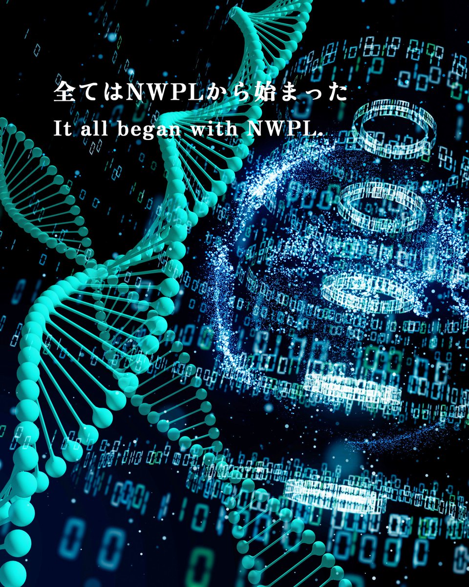 インパクトトレーディング：足とNWPLファンクショナルインソールのプロ集団 tweet media