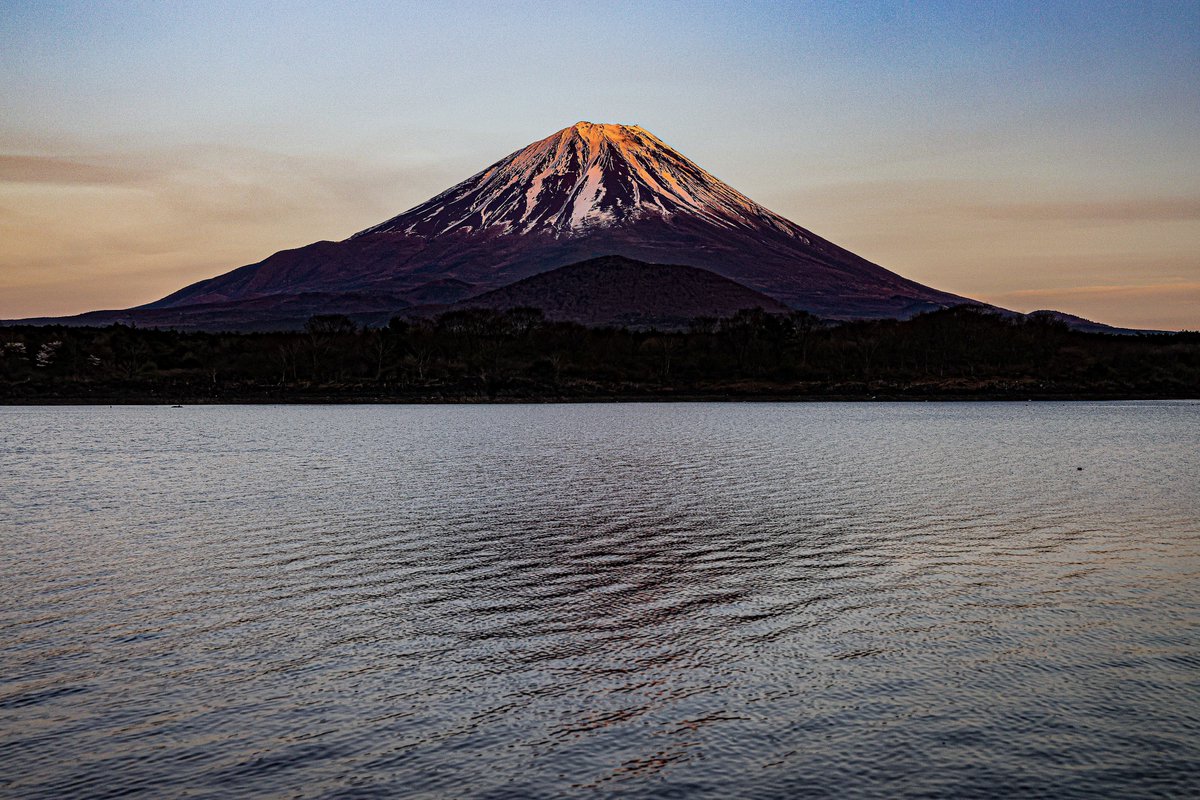 たかたか tweet media