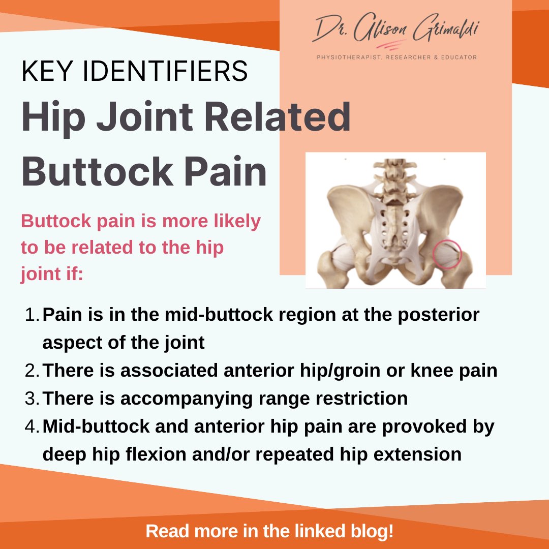 alisongrimaldi's tweet image. 🍑 Hip joint-related buttock pain?
✅ Likely if mid-buttock pain, linked anterior hip/groin or knee pain, limited ROM, or pain with deep flexion/repeated extension.
Learn more: dralisongrimaldi.com/blog/getting-t…
#HipPain #ButtockPain #HipRehab
