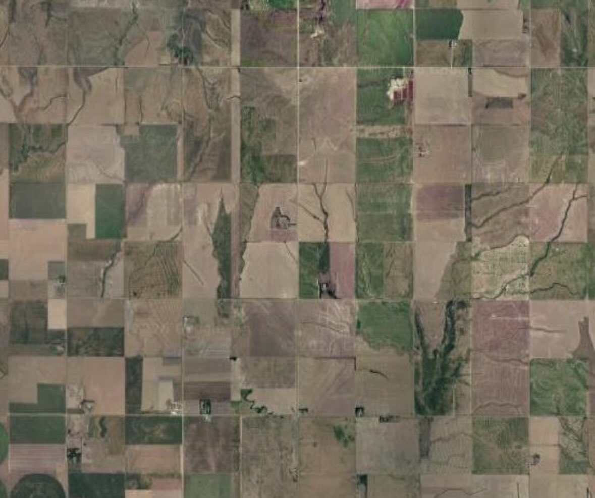 Adam, Anthropocene Megafauna tweet media