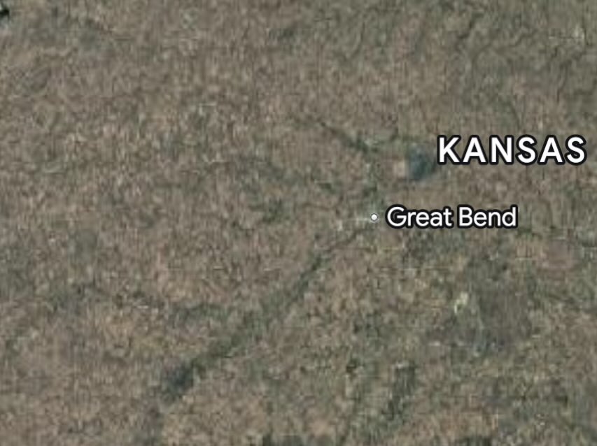 Adam, Anthropocene Megafauna tweet media