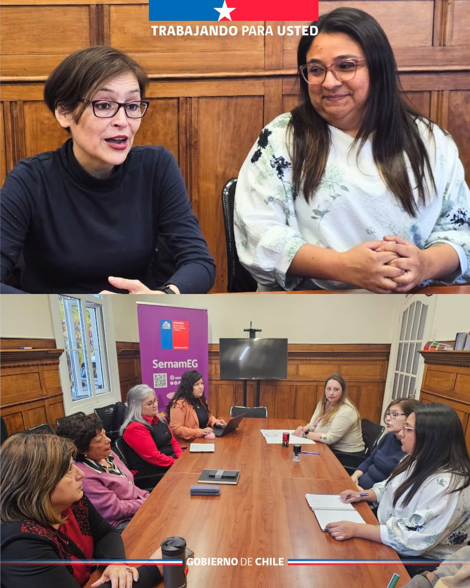 Seremi de la Mujer y Equidad de Género Magallanes tweet media