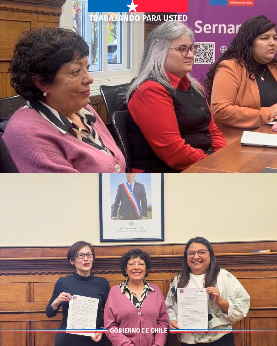 Seremi de la Mujer y Equidad de Género Magallanes tweet media