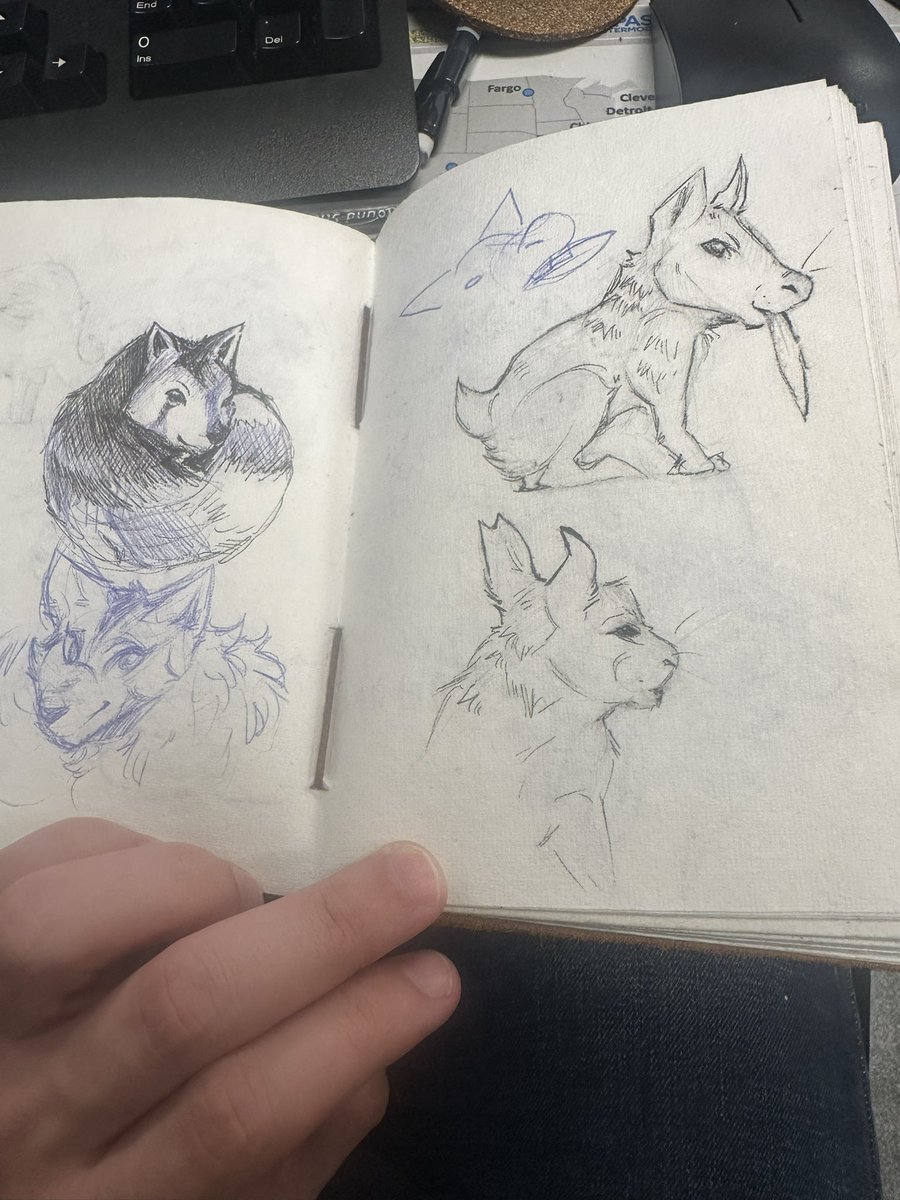 stephgh1 tweet media