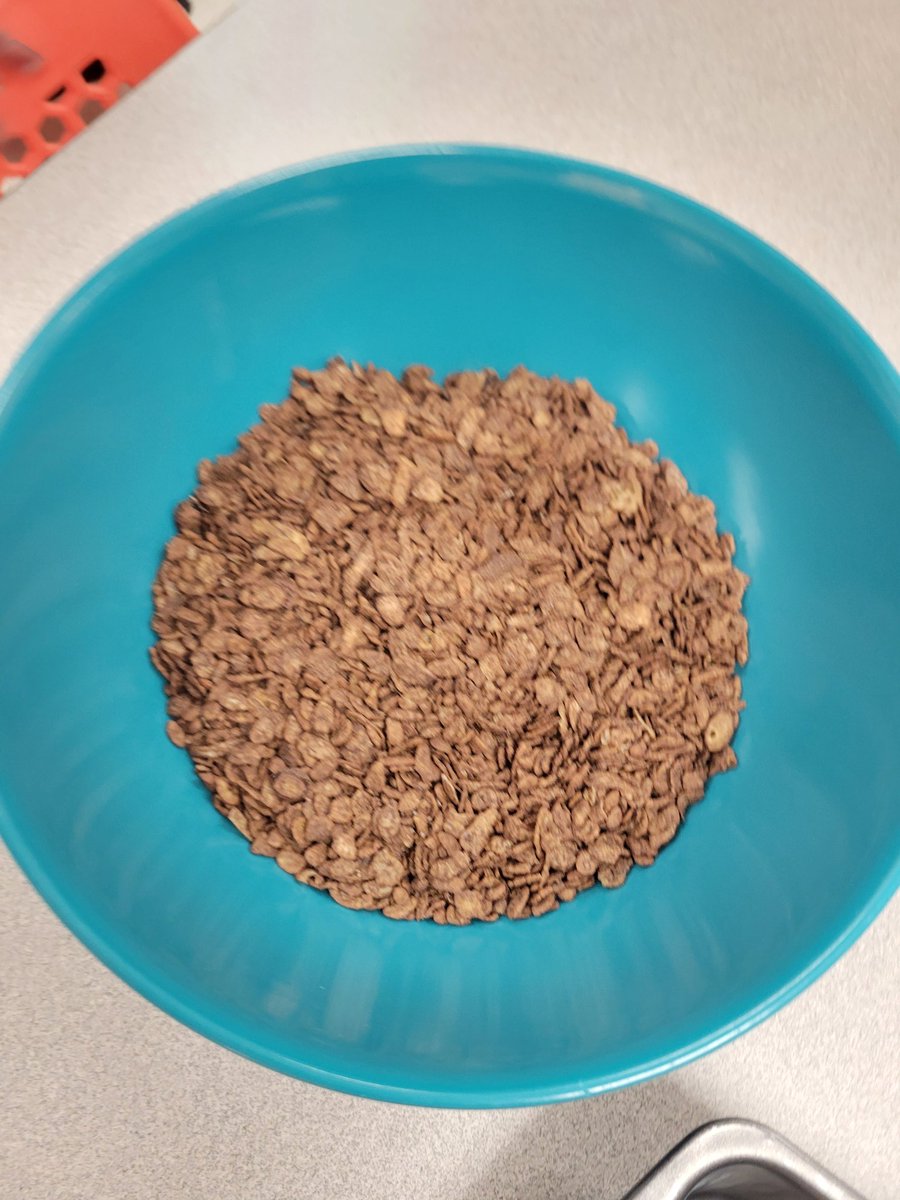 Anderson_FCS's tweet image. Day 2 ~ Cocoa krispie treats

The majority of students thought these were better than the OG.

#TestingDays #CookingClass #AHSisFamily