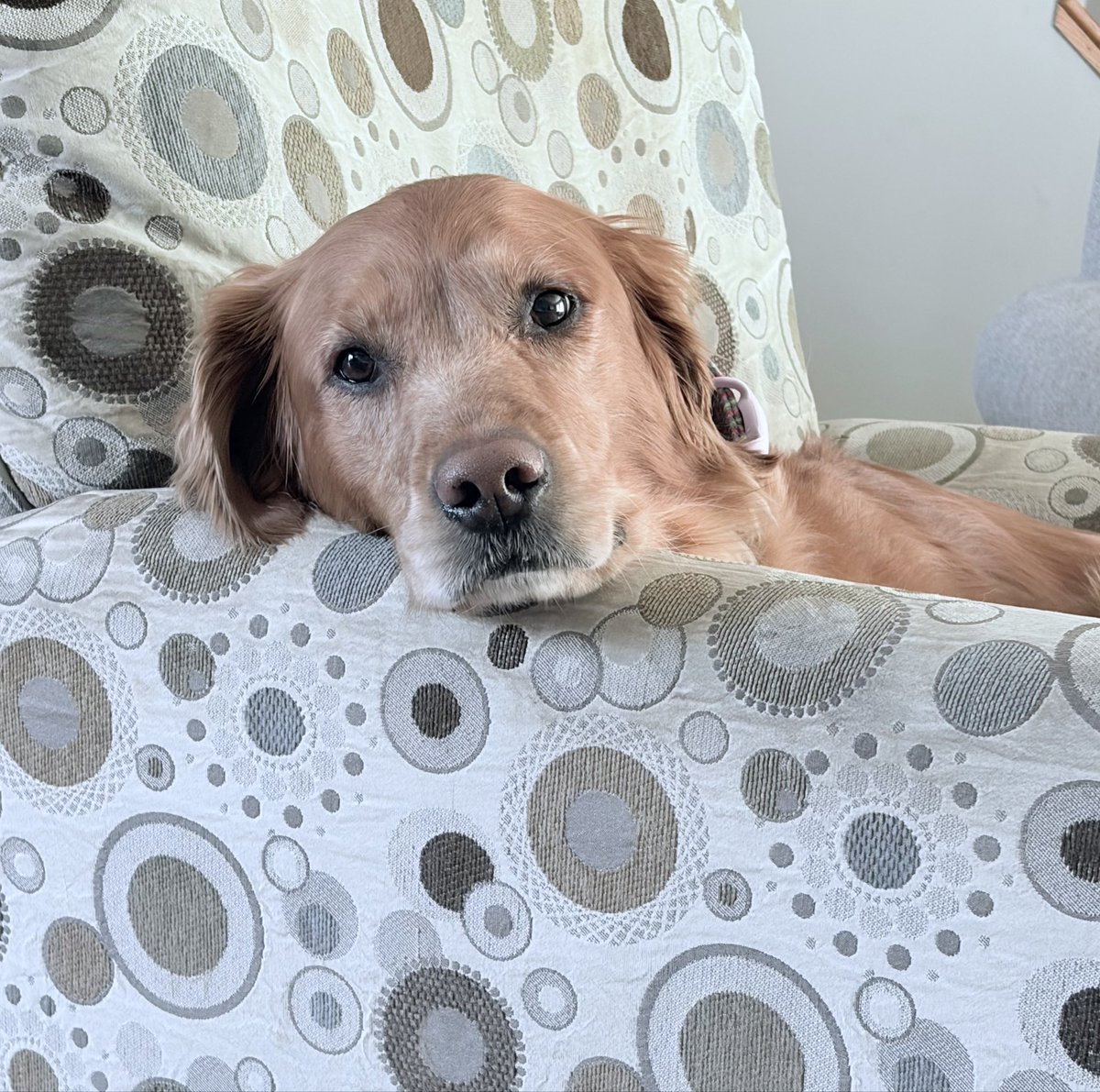 When you get the feeling someone is watching you..